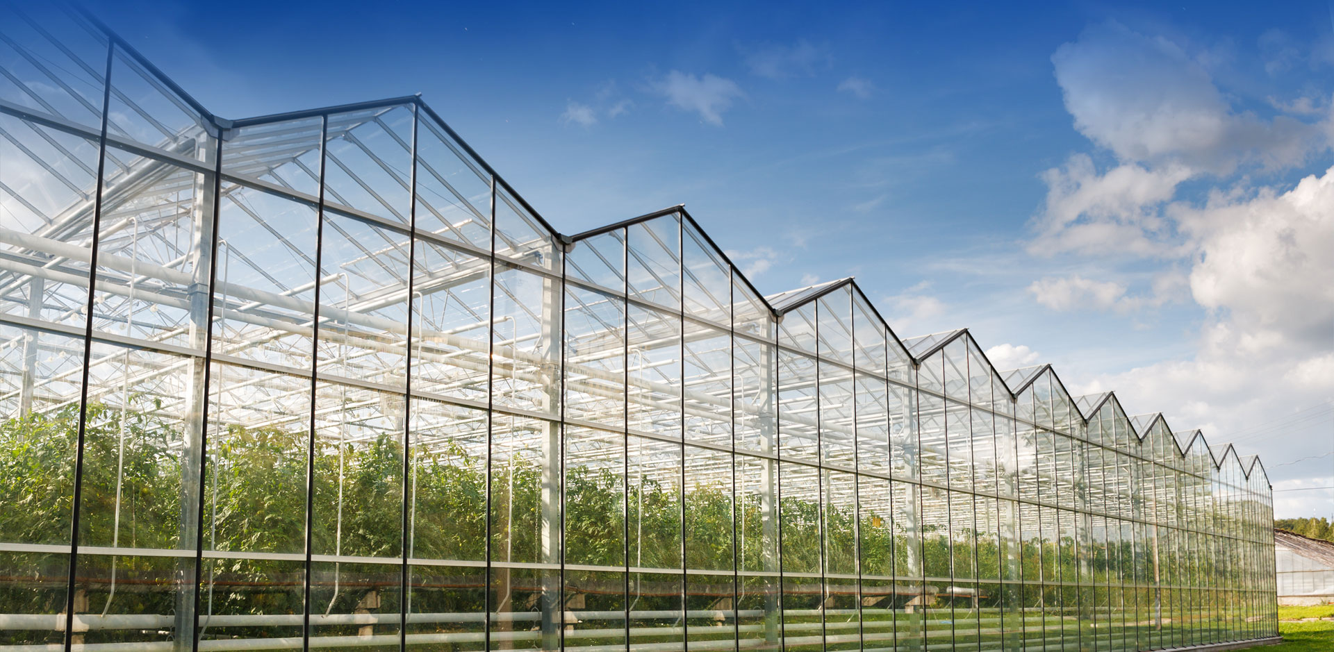 青州市利榮機(jī)械制造有限公司